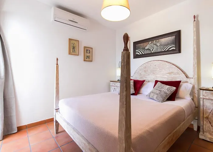 Pura Vida Бинибека